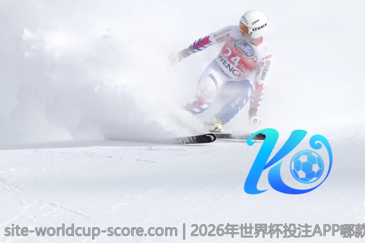 2026年世界杯投注APP哪款最具性价比？