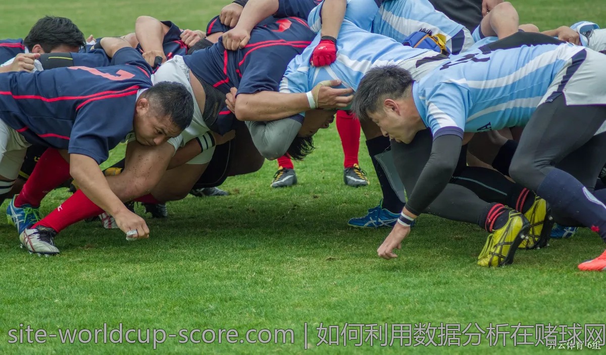如何结合数据分析提高对世界杯赔率的理解？