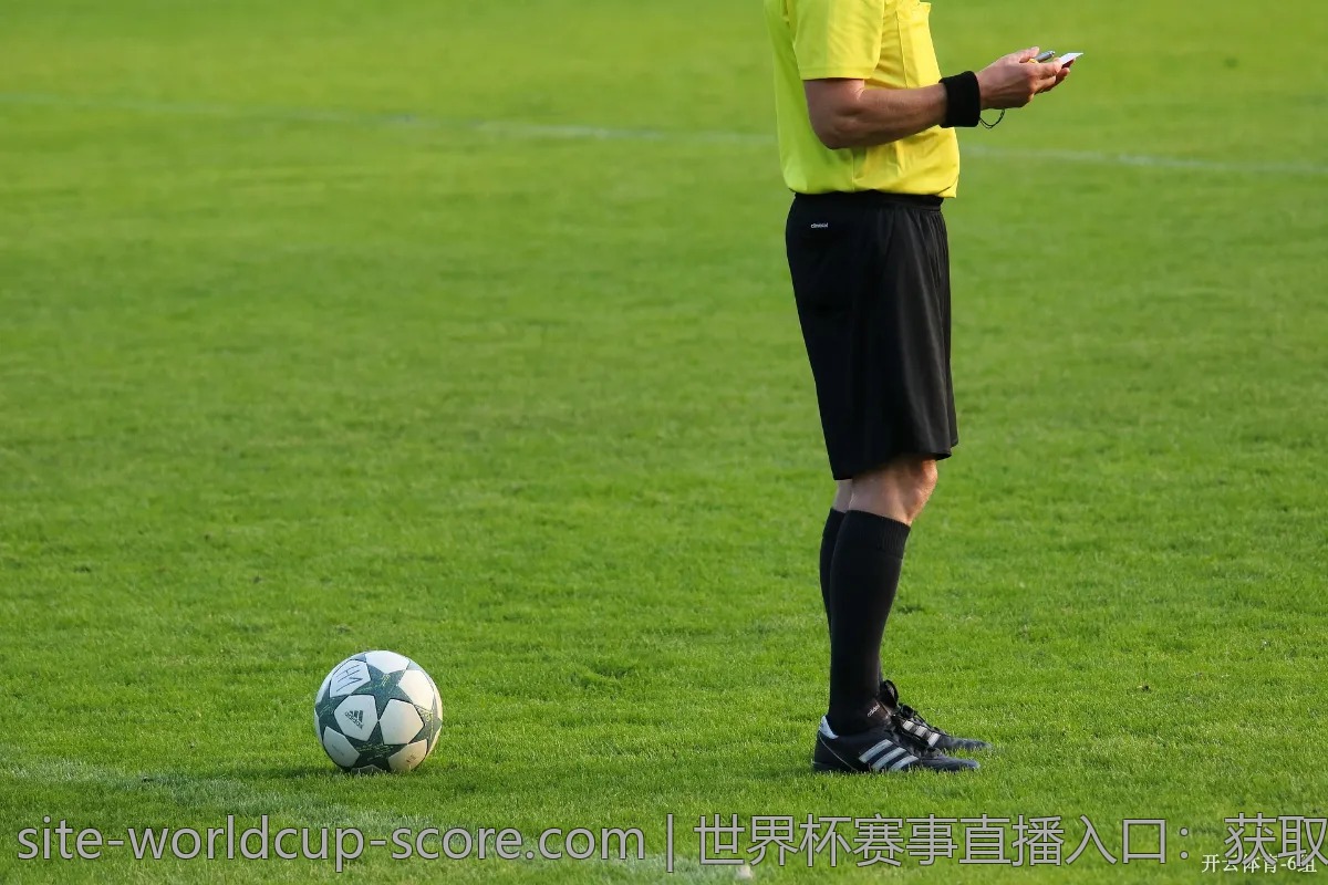 世界杯赛事直播入口：获取最新直播信息与频道推荐