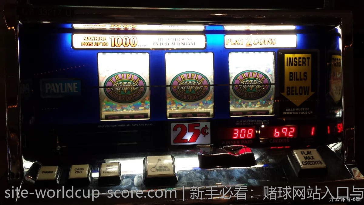 新手必看：赌球网站入口与使用技巧