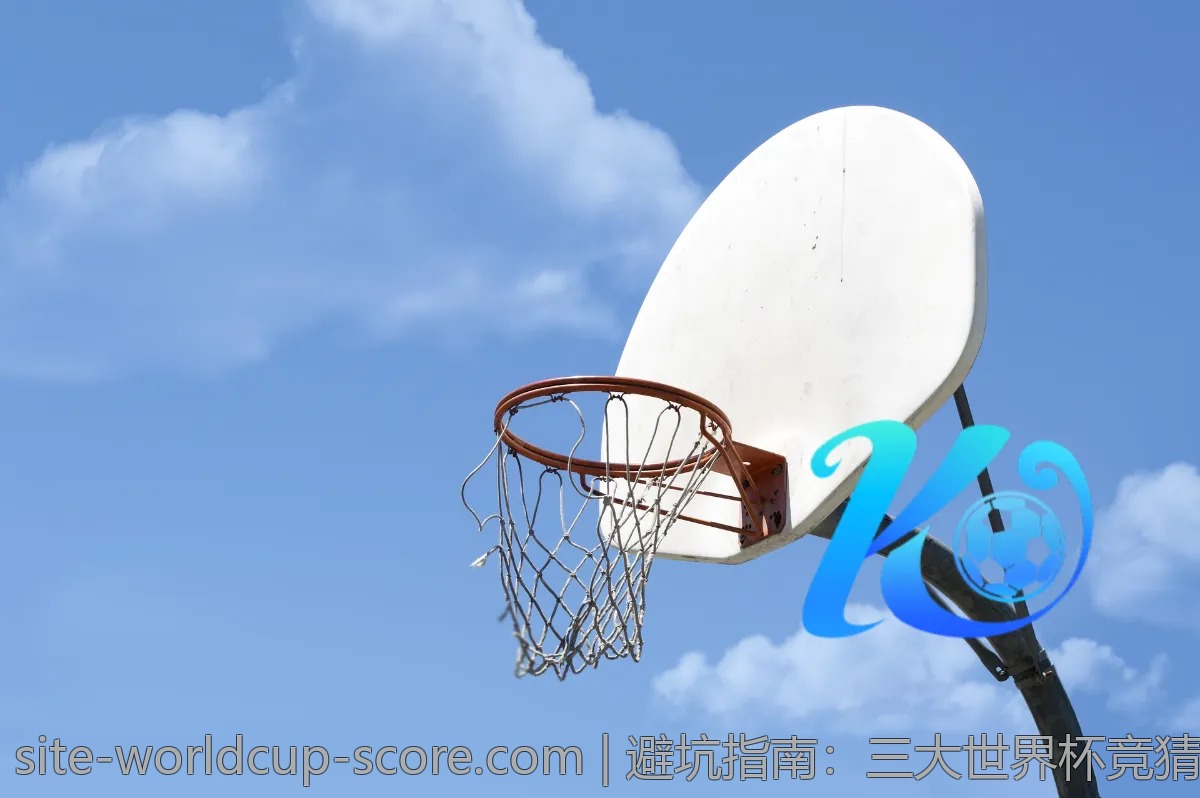 避坑指南：三大世界杯竞猜平台使用风险揭秘