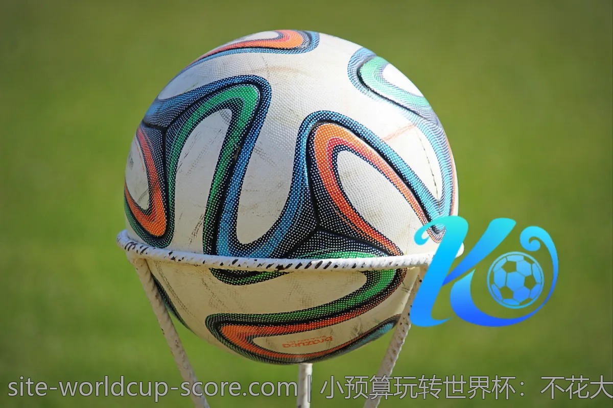 小预算玩转世界杯：不花大钱也能疯狂享受