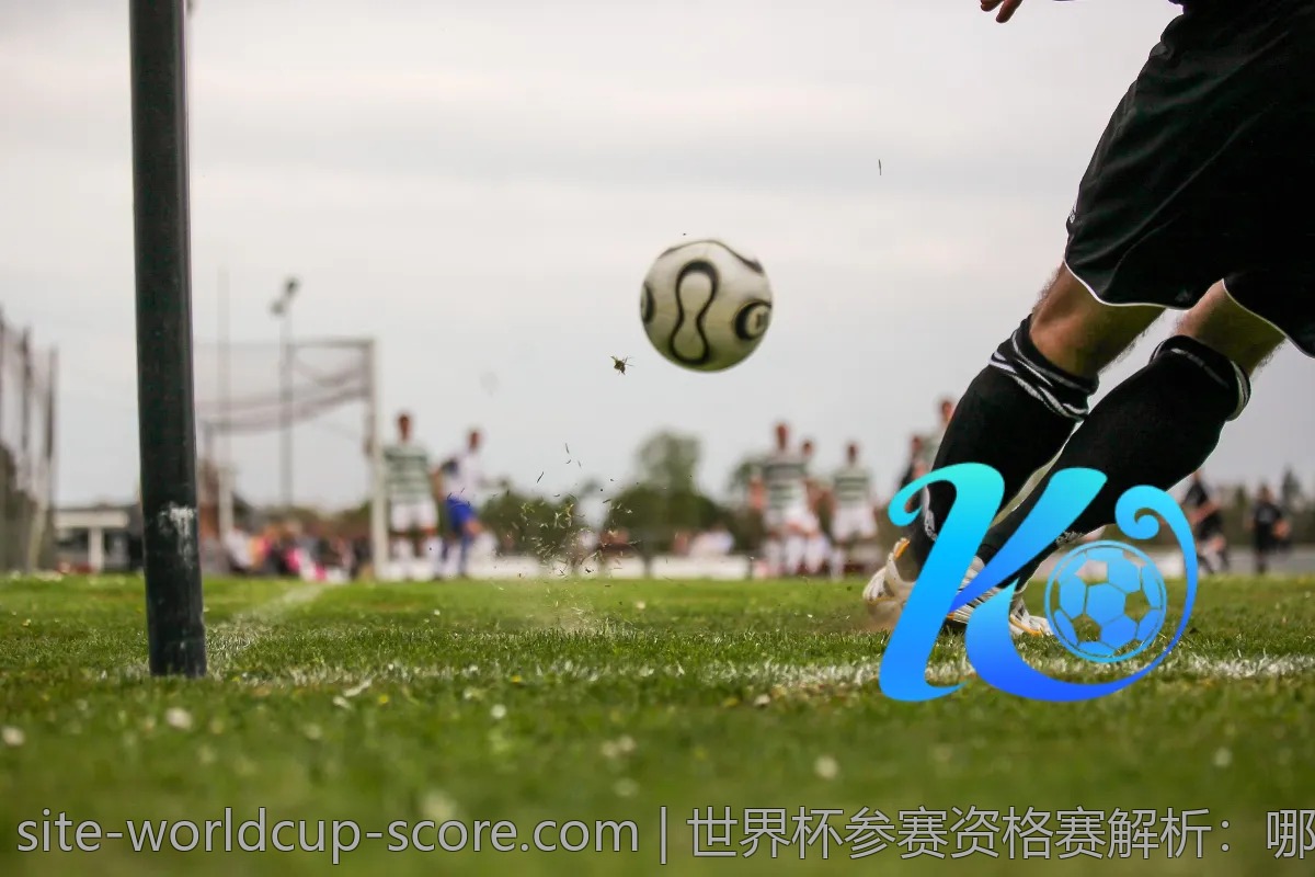 世界杯参赛资格赛解析：哪些球队已经锁定名额？